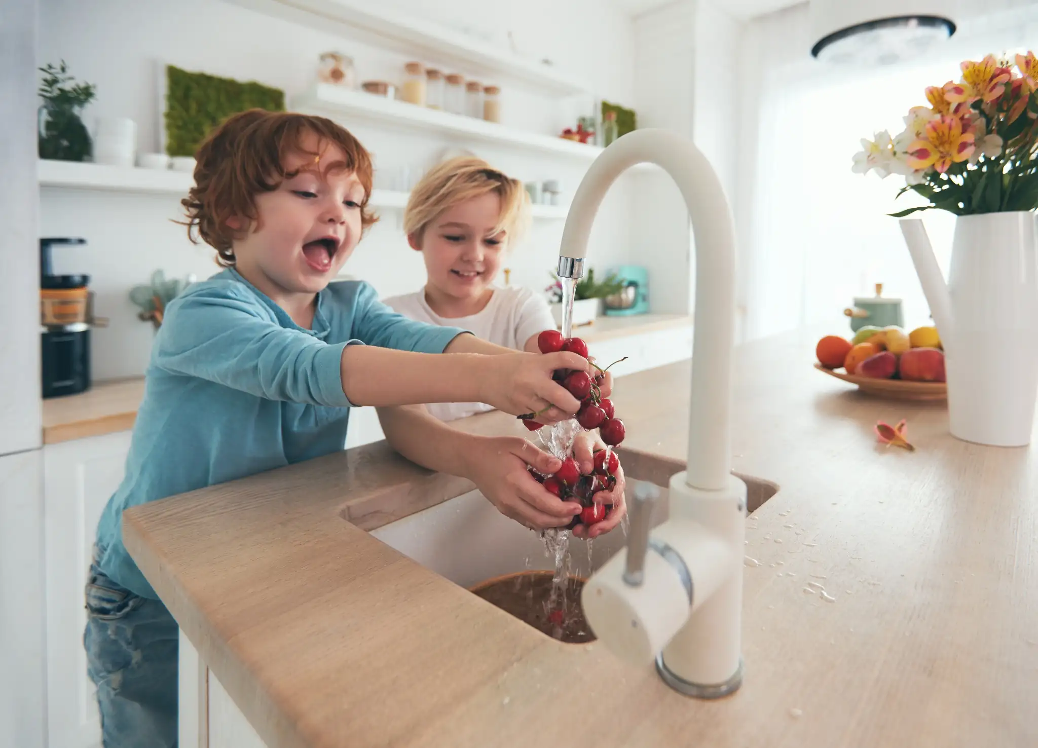 Raleigh-Durham'S #1 PROVIDER OF HOME REPIPES