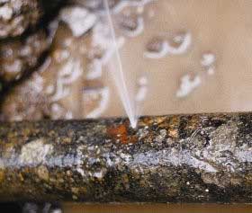 Pinhole Pipe Leak Pinhole Pipe Leak in Raleigh-Durham